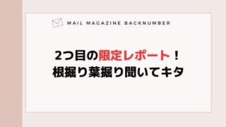 2つ目の限定レポート！根掘り葉掘り聞いてキタ