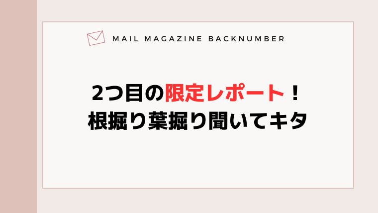 2つ目の限定レポート！根掘り葉掘り聞いてキタ